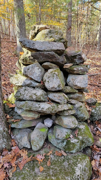 rock pile in Hillsborough NH, by Walter van Roggen