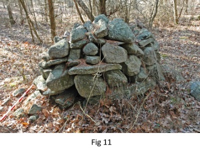 Turtle effigy mound, Hopkinton, RI.