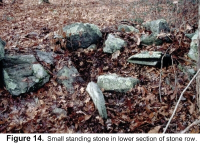 Small standing stone in lower section of stone row.