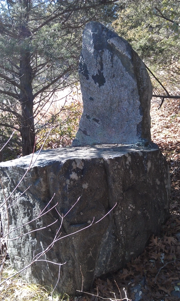 in New London County CT, by Walter van Roggen